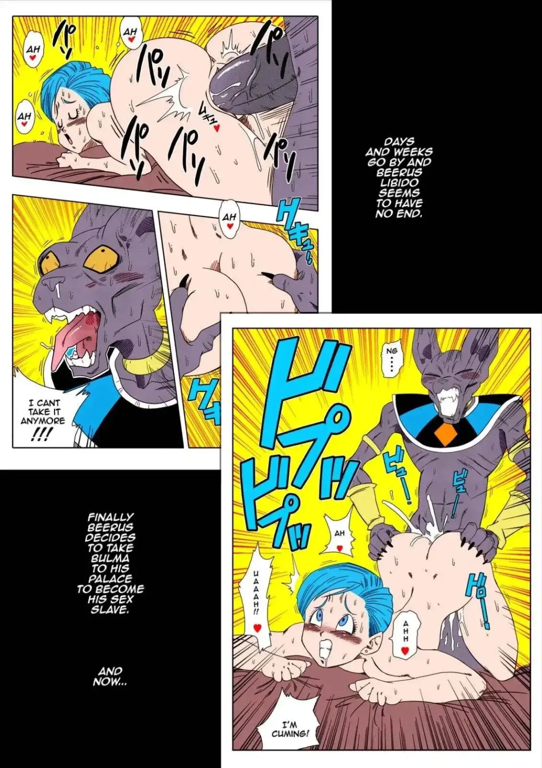 no one disobeys beerus yamamoto 004